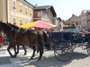 bauernmarkt-mondsee-2012-48