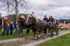 Kirchberger Georgiritt in Eugendorf am 17.04.2016  Foto und Copyright: Moser Albert, Fotograf, 5201 Seekirchen, Weinbergstiege 1, Tel.: 0043-676-7550526 mailto:albert.moser@sbg.at  www.moser.zenfolio.com