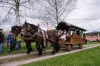 Kirchberger Georgiritt in Eugendorf am 17.04.2016  Foto und Copyright: Moser Albert, Fotograf, 5201 Seekirchen, Weinbergstiege 1, Tel.: 0043-676-7550526 mailto:albert.moser@sbg.at  www.moser.zenfolio.com