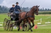 Landesmeisterschaft Gespannfahren Ein- und ZweispÃ¤nner in Seekirchen/Wimmhof;  
3. Bewerb, Hindernisfahren, am 06.08.2017;  Siegerin Magdalena Moser vom UGFC Wimmhof  
Foto und Copyright: Moser Albert, Fotograf, 5201 Seekirchen, Weinbergstiege 1, Tel.: 0043-676-7550526 mailto:albert.moser@sbg.at  www.moser.zenfolio.com