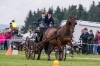 Landesmeisterschaft Gespannfahren Ein- und ZweispÃ¤nner in Seekirchen/Wimmhof;  
3. Bewerb, Hindernisfahren, am 06.08.2017;  Siegerin Magdalena Moser vom UGFC Wimmhof  
Foto und Copyright: Moser Albert, Fotograf, 5201 Seekirchen, Weinbergstiege 1, Tel.: 0043-676-7550526 mailto:albert.moser@sbg.at  www.moser.zenfolio.com