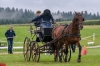 Landesmeisterschaft Gespannfahren Ein- und ZweispÃ¤nner in Seekirchen/Wimmhof;  
3. Bewerb, Hindernisfahren, am 06.08.2017;  Siegerin Magdalena Moser vom UGFC Wimmhof  
Foto und Copyright: Moser Albert, Fotograf, 5201 Seekirchen, Weinbergstiege 1, Tel.: 0043-676-7550526 mailto:albert.moser@sbg.at  www.moser.zenfolio.com