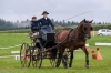 Landesmeisterschaft Gespannfahren Ein- und ZweispÃ¤nner in Seekirchen/Wimmhof;  
3. Bewerb, Hindernisfahren, am 06.08.2017;  Siegerin Magdalena Moser vom UGFC Wimmhof  
Foto und Copyright: Moser Albert, Fotograf, 5201 Seekirchen, Weinbergstiege 1, Tel.: 0043-676-7550526 mailto:albert.moser@sbg.at  www.moser.zenfolio.com