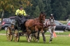 Landesmeisterschaft Gespannfahren Ein- und ZweispÃ¤nner in Seekirchen/Wimmhof;  
3. Bewerb, Hindernisfahren, am 06.08.2017; Masceroni Carlo aus Italien  
Foto und Copyright: Moser Albert, Fotograf, 5201 Seekirchen, Weinbergstiege 1, Tel.: 0043-676-7550526 mailto:albert.moser@sbg.at  www.moser.zenfolio.com