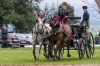 Landesmeisterschaft Gespannfahren Ein- und ZweispÃ¤nner in Seekirchen/Wimmhof;  
3. Bewerb, Hindernisfahren, am 06.08.2017; Ilgenfritz Karl von LÃ¤ndl, Reiter und Fahrer KÃ¤rntens  
Foto und Copyright: Moser Albert, Fotograf, 5201 Seekirchen, Weinbergstiege 1, Tel.: 0043-676-7550526 mailto:albert.moser@sbg.at  www.moser.zenfolio.com