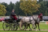 Landesmeisterschaft Gespannfahren Ein- und ZweispÃ¤nner in Seekirchen/Wimmhof;  
3. Bewerb, Hindernisfahren, am 06.08.2017; Ilgenfritz Karl von LÃ¤ndl, Reiter und Fahrer KÃ¤rntens  
Foto und Copyright: Moser Albert, Fotograf, 5201 Seekirchen, Weinbergstiege 1, Tel.: 0043-676-7550526 mailto:albert.moser@sbg.at  www.moser.zenfolio.com