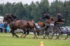 Landesmeisterschaft Gespannfahren Ein- und ZweispÃ¤nner in Seekirchen/Wimmhof;  
3. Bewerb, Hindernisfahren, am 06.08.2017; Greinsberger Florian von Pferdefreunde Leitzachtal BRD  
Foto und Copyright: Moser Albert, Fotograf, 5201 Seekirchen, Weinbergstiege 1, Tel.: 0043-676-7550526 mailto:albert.moser@sbg.at  www.moser.zenfolio.com