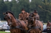 Landesmeisterschaft Gespannfahren Ein- und ZweispÃ¤nner in Seekirchen/Wimmhof;  
3. Bewerb, Hindernisfahren, am 06.08.2017; Bernsteiner Andreas von der Reitergruppe Piesendorf  
Foto und Copyright: Moser Albert, Fotograf, 5201 Seekirchen, Weinbergstiege 1, Tel.: 0043-676-7550526 mailto:albert.moser@sbg.at  www.moser.zenfolio.com