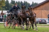 Landesmeisterschaft Gespannfahren Ein- und ZweispÃ¤nner in Seekirchen/Wimmhof;  
3. Bewerb, Hindernisfahren, am 06.08.2017; Leitner Markus vom URFV StraÃwalchen-Irrsdorf  
Foto und Copyright: Moser Albert, Fotograf, 5201 Seekirchen, Weinbergstiege 1, Tel.: 0043-676-7550526 mailto:albert.moser@sbg.at  www.moser.zenfolio.com