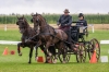 Landesmeisterschaft Gespannfahren Ein- und ZweispÃ¤nner in Seekirchen/Wimmhof;  
3. Bewerb, Hindernisfahren, am 06.08.2017;  Sieger Georg Moser vom UGFC Wimmhof  
Foto und Copyright: Moser Albert, Fotograf, 5201 Seekirchen, Weinbergstiege 1, Tel.: 0043-676-7550526 mailto:albert.moser@sbg.at  www.moser.zenfolio.com