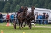 Landesmeisterschaft Gespannfahren Ein- und ZweispÃ¤nner in Seekirchen/Wimmhof;  
3. Bewerb, Hindernisfahren, am 06.08.2017;  Sieger Georg Moser vom UGFC Wimmhof  
Foto und Copyright: Moser Albert, Fotograf, 5201 Seekirchen, Weinbergstiege 1, Tel.: 0043-676-7550526 mailto:albert.moser@sbg.at  www.moser.zenfolio.com