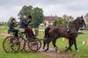 Landesmeisterschaft Gespannfahren Ein- und ZweispÃ¤nner in Seekirchen/Wimmhof;  
3. Bewerb, Hindernisfahren, am 06.08.2017;  Sieger Georg Moser vom UGFC Wimmhof  
Foto und Copyright: Moser Albert, Fotograf, 5201 Seekirchen, Weinbergstiege 1, Tel.: 0043-676-7550526 mailto:albert.moser@sbg.at  www.moser.zenfolio.com