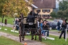 Landesmeisterschaft Gespannfahren Ein- und ZweispÃ¤nner in Seekirchen/Wimmhof;  
3. Bewerb, Hindernisfahren, am 06.08.2017;  Sieger Georg Moser vom UGFC Wimmhof  
Foto und Copyright: Moser Albert, Fotograf, 5201 Seekirchen, Weinbergstiege 1, Tel.: 0043-676-7550526 mailto:albert.moser@sbg.at  www.moser.zenfolio.com