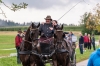 Landesmeisterschaft Gespannfahren Ein- und ZweispÃ¤nner in Seekirchen/Wimmhof;  
3. Bewerb, Hindernisfahren, am 06.08.2017;  Sieger Georg Moser vom UGFC Wimmhof  
Foto und Copyright: Moser Albert, Fotograf, 5201 Seekirchen, Weinbergstiege 1, Tel.: 0043-676-7550526 mailto:albert.moser@sbg.at  www.moser.zenfolio.com