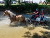 Gespannfahren Seekirchen (16)