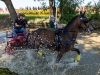 Gespannfahren Seekirchen (17)