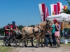 Gespannfahren Seekirchen (48)