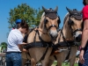 Gespannfahren Seekirchen (49)