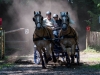 Gespannfahren Seekirchen (60)