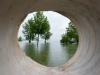 Hochwasser m Strandbad in Seekirchen am 02.06.2013  
Foto und Copyright: Moser Albert, Fotograf und Pressefotograf, 5201 Seekirchen, Weinbergstiege 1, Tel.: 0676-7550526 mailto:albert.moser@sbg.at  www.moser.zenfolio.com