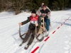 8. Hornerschlittenrennen in Faistenau am 27.1.2013  
Foto und Copyright: Moser Albert, Fotograf und Pressefotograf, 5201 Seekirchen, Weinbergstiege 1, Tel.: 0676-7550526 mailto:albert.moser@sbg.at  www.moser.zenfolio.com