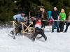 8. Hornerschlittenrennen in Faistenau am 27.1.2013  
Foto und Copyright: Moser Albert, Fotograf und Pressefotograf, 5201 Seekirchen, Weinbergstiege 1, Tel.: 0676-7550526 mailto:albert.moser@sbg.at  www.moser.zenfolio.com