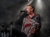 2015-06-28_025 Hubert von Goisern Sbg