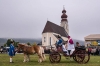 Leonhardiritt in Irrsdorf am 26.10.2015  
Foto und Copyright: Moser Albert, Fotograf, 5201 Seekirchen, Weinbergstiege 1, Tel.: 0043-676-7550526 mailto:albert.moser@sbg.at  www.moser.zenfolio.com