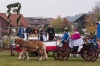 Leonhardiritt in Irrsdorf am 26.10.2015  
Foto und Copyright: Moser Albert, Fotograf, 5201 Seekirchen, Weinbergstiege 1, Tel.: 0043-676-7550526 mailto:albert.moser@sbg.at  www.moser.zenfolio.com