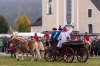 Leonhardiritt in Irrsdorf am 26.10.2015  
Foto und Copyright: Moser Albert, Fotograf, 5201 Seekirchen, Weinbergstiege 1, Tel.: 0043-676-7550526 mailto:albert.moser@sbg.at  www.moser.zenfolio.com