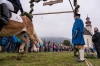 Leonhardiritt in Irrsdorf am 26.10.2015; Kranzlstechen  
Foto und Copyright: Moser Albert, Fotograf, 5201 Seekirchen, Weinbergstiege 1, Tel.: 0043-676-7550526 mailto:albert.moser@sbg.at  www.moser.zenfolio.com