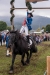 Leonhardiritt in Irrsdorf am 26.10.2015; Sieger beim Kranzlstechen: Hofbauer Manfred aus Irrsdorf  
Foto und Copyright: Moser Albert, Fotograf, 5201 Seekirchen, Weinbergstiege 1, Tel.: 0043-676-7550526 mailto:albert.moser@sbg.at  www.moser.zenfolio.com