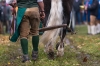 Leonhardiritt in Irrsdorf am 26.10.2015; ZugleistungsprÃ¼fung der Pferde mit Gewichten, die mit einem Zwischenhalt Ã¼ber eine Strecke von 35m gezogen werden mÃ¼ssen;  Sieger Felix Honsig aus Henndorf mit Pferd Aron  
Foto und Copyright: Moser Albert, Fotograf, 5201 Seekirchen, Weinbergstiege 1, Tel.: 0043-676-7550526 mailto:albert.moser@sbg.at  www.moser.zenfolio.com