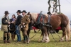 Leonhardiritt in Irrsdorf am 26.10.2015  
Foto und Copyright: Moser Albert, Fotograf, 5201 Seekirchen, Weinbergstiege 1, Tel.: 0043-676-7550526 mailto:albert.moser@sbg.at  www.moser.zenfolio.com