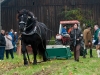 Leonhardiritt in Irrsdorf am 26.10.2012 veranstaltet von den Irrsdorfer LeonhardischÃ¼tzen  
ZugleistungsprÃ¼fung mit Gewichten von 900 - 1300kg, die mit einem Zwischenhalt Ã¼ber eine Strecke von 35m gezogen werden mÃ¼ssen  
Foto und Copyright: Moser Albert, Fotograf und Pressefotograf, 5201 Seekirchen, Weinbergstiege 1, Tel.: 0676-7550526 mailto:albert.moser@sbg.at  www.moser.zenfolio.com