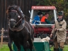 Leonhardiritt in Irrsdorf am 26.10.2012 veranstaltet von den Irrsdorfer LeonhardischÃ¼tzen  
ZugleistungsprÃ¼fung mit Gewichten von 900 - 1300kg, die mit einem Zwischenhalt Ã¼ber eine Strecke von 35m gezogen werden mÃ¼ssen  
Foto und Copyright: Moser Albert, Fotograf und Pressefotograf, 5201 Seekirchen, Weinbergstiege 1, Tel.: 0676-7550526 mailto:albert.moser@sbg.at  www.moser.zenfolio.com