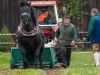 Leonhardiritt in Irrsdorf am 26.10.2012 veranstaltet von den Irrsdorfer LeonhardischÃ¼tzen  
ZugleistungsprÃ¼fung mit Gewichten von 900 - 1300kg, die mit einem Zwischenhalt Ã¼ber eine Strecke von 35m gezogen werden mÃ¼ssen  
Foto und Copyright: Moser Albert, Fotograf und Pressefotograf, 5201 Seekirchen, Weinbergstiege 1, Tel.: 0676-7550526 mailto:albert.moser@sbg.at  www.moser.zenfolio.com