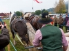 Leonhardiritt in Irrsdorf am 26.10.2012 veranstaltet von den Irrsdorfer LeonhardischÃ¼tzen  
Zugleistungsdemonstration mit zwei Pferden und einem Gewicht von 1800kg Felix Honsig aus Henndorf  
Foto und Copyright: Moser Albert, Fotograf und Pressefotograf, 5201 Seekirchen, Weinbergstiege 1, Tel.: 0676-7550526 mailto:albert.moser@sbg.at  www.moser.zenfolio.com