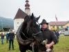 Leonhardiritt in Irrsdorf am 26.10.2012 veranstaltet von den Irrsdorfer LeonhardischÃ¼tzen  
ZugleistungsprÃ¼fung mit Gewichten von 900 - 1300kg, die mit einem Zwischenhalt Ã¼ber eine Strecke von 35m gezogen werden mÃ¼ssen  
Foto und Copyright: Moser Albert, Fotograf und Pressefotograf, 5201 Seekirchen, Weinbergstiege 1, Tel.: 0676-7550526 mailto:albert.moser@sbg.at  www.moser.zenfolio.com