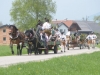 maibaumsetzen-mondsee-2013-3