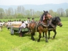 maibaumsetzen-mondsee-2013-9