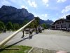 Maibaum-in-St.-Lorenz-119