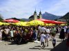 Maibaum-in-St.-Lorenz-128