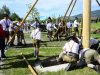 Maibaum-in-St.-Lorenz-164