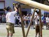 Maibaum-in-St.-Lorenz-66