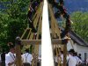 Maibaum-in-St.-Lorenz-71