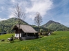 Maibaumaufstellen bei der WaschlmÃ¼hle in Ebenau am 01.05.2019, organisiert vom Trachtenverein "D'Stoawandler" Ebenau;  
Foto und Copyright: Moser Albert