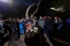 Perchtenlauf der PlÃ¶tzpass beim PlÃ¶tzlauf in Ebenau am 07.12.2016  
Foto und Copyright: Moser Albert, Fotograf, 5201 Seekirchen, Weinbergstiege 1, Tel.: 0043-676-7550526 mailto:albert.moser@sbg.at  www.moser.zenfolio.com