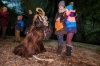 Perchtenlauf der PlÃ¶tzpass beim PlÃ¶tzlauf in Ebenau am 07.12.2016  
Foto und Copyright: Moser Albert, Fotograf, 5201 Seekirchen, Weinbergstiege 1, Tel.: 0043-676-7550526 mailto:albert.moser@sbg.at  www.moser.zenfolio.com