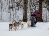 Int. Hundeschlittenrennen in Hintersee am 10.02.2023  
Foto und Copyright: Moser Albert, Fotograf, 5201 Seekirchen, Weinbergstiege 1, Tel.: 0043-676-7550526 mailto:albert.moser@sbg.at  www.moser.zenfolio.com